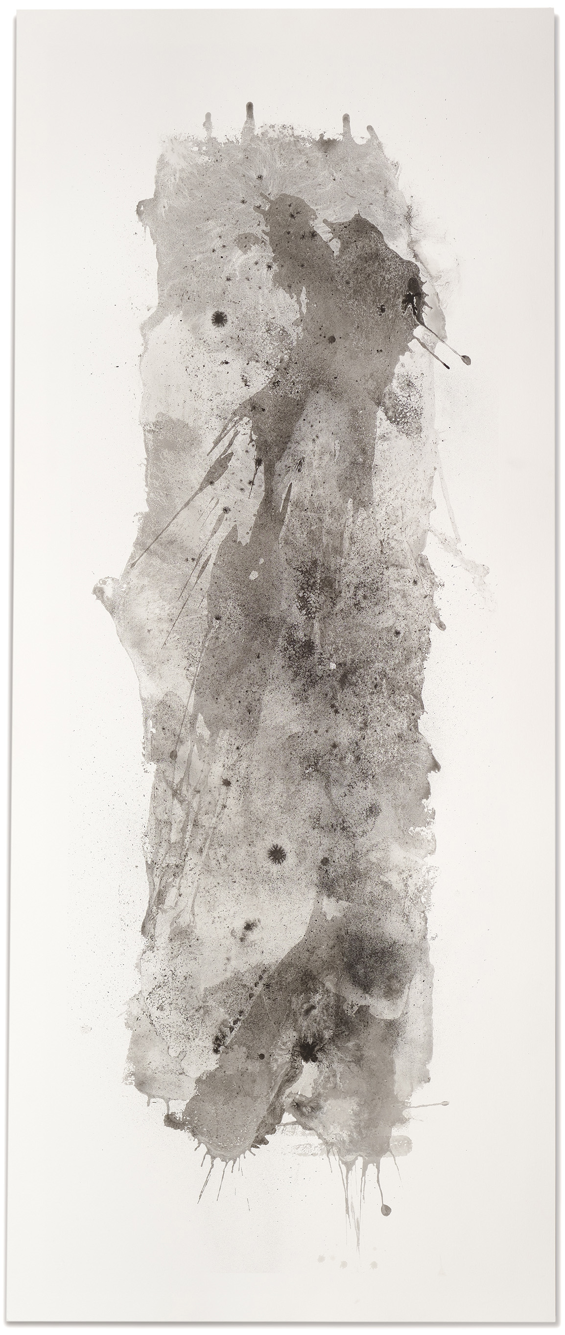 FLOW artist talk by Wayne Roose